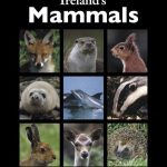 Irelands-Mammals-book-cover.jpg