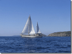 Celtic Mist will be used by the IWDG for cetacean research