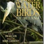 Freshwater-Birds-of-Ireland.jpg