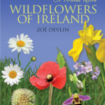 Wildflowers-of-Ireland.png