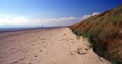 North Bull Island Dublin