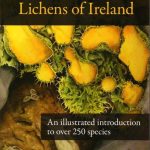 LichensofIreland.jpg