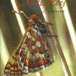 Ireland's Butterflies: A Review