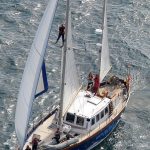 The IWDG's RV Celtic Mist encounters blue whales in Irish waters on her maiden voyage