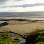 Coastwatch team seeks Citizen Scientists for shore survey