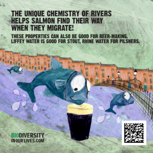 Biodiversity beermat -- salmon Biodiversity beermat -- salmon