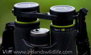 SpiritED0836 Eyecups and Rainguard