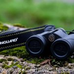 Vanguard Spirit ED 8x36 front view