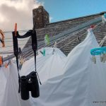 Washing Line Wildlife -- you never know what you might see!