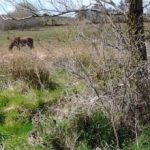 The Calendar Road -- April 2013